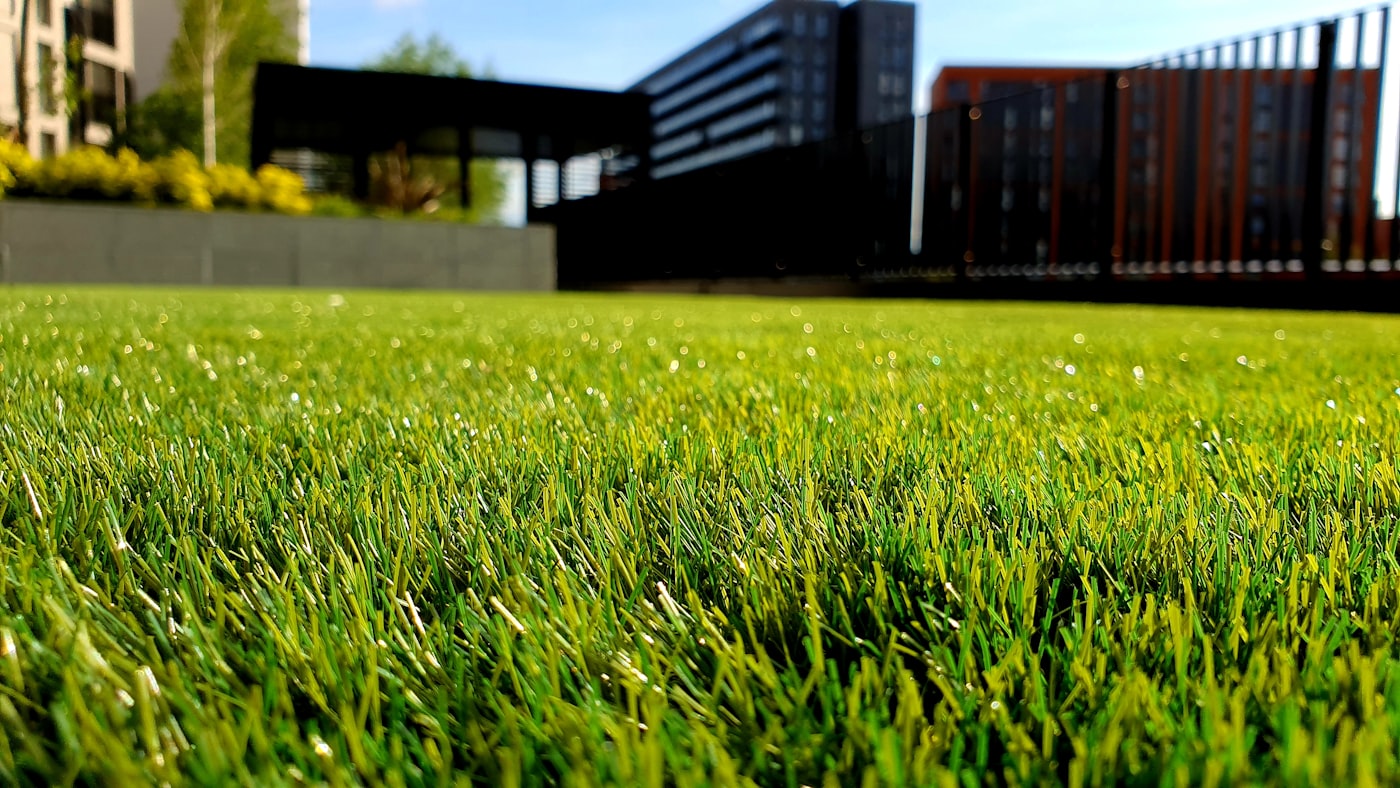Dense renovated lawn with layered garden borders