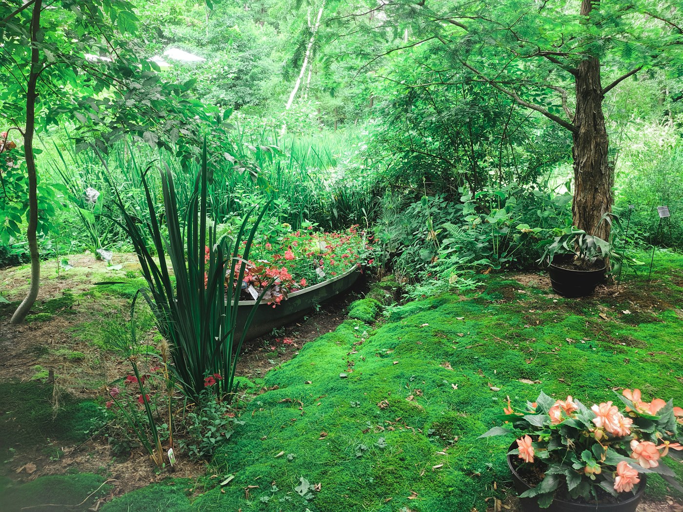 Lush layered garden with flowering beds and moss lawn