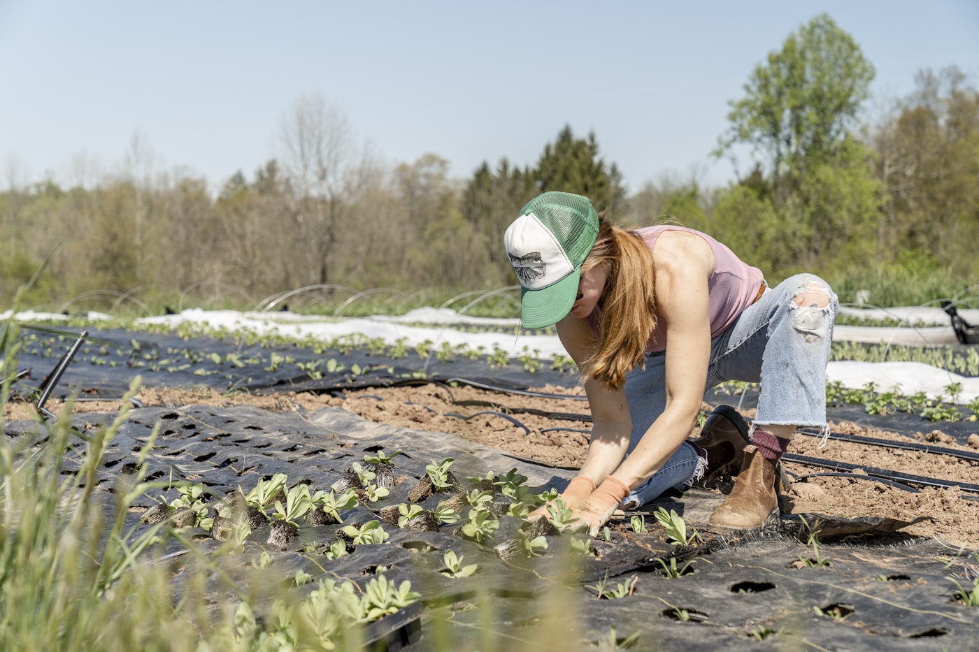 Landscaper planting seedlings into a prepared bed